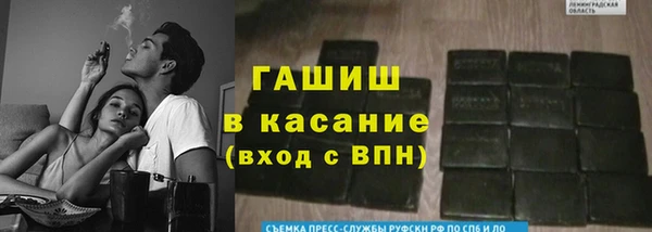 ПСИЛОЦИБИНОВЫЕ ГРИБЫ Арсеньев