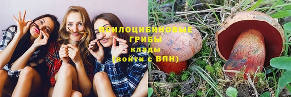 ПСИЛОЦИБИНОВЫЕ ГРИБЫ Арсеньев