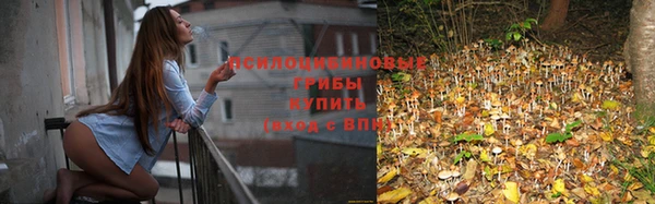 мескалин Аркадак